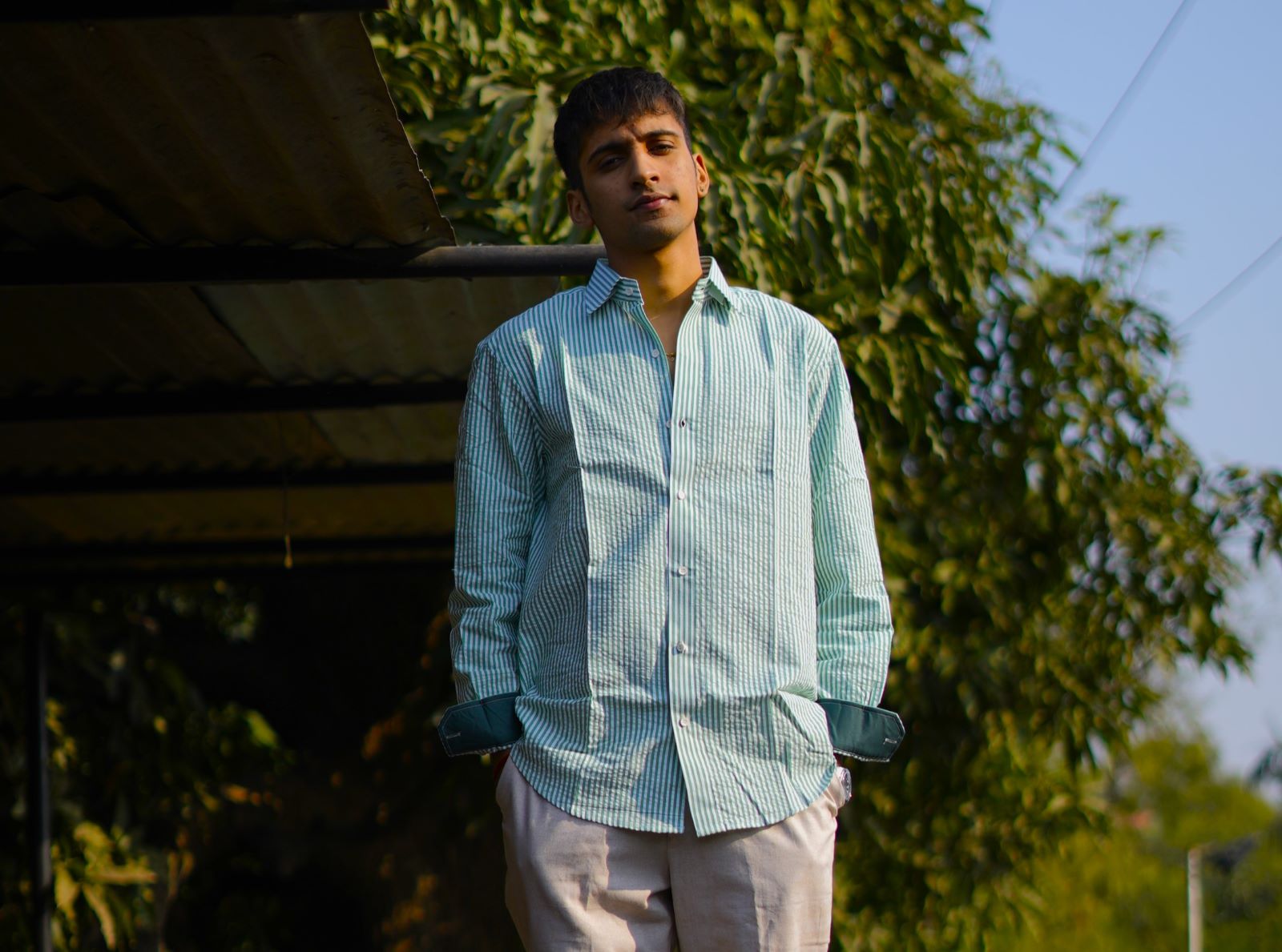 Designer Striped Shirts